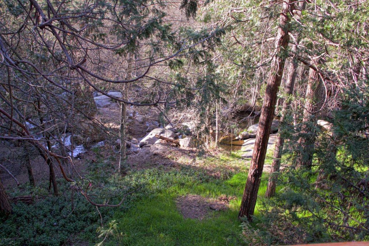 Sierra Springs Βίλα Oakhurst Εξωτερικό φωτογραφία